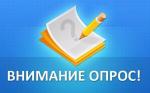 Интернет-голосование для жителей: петербуржцы могут оценить чистоту своего района