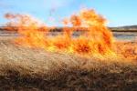 Пожарная безопасность при весеннем пале травы